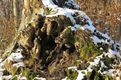 12-12 - warme Farben im Winter 